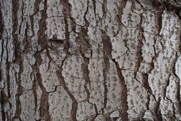 texture