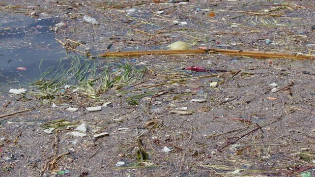Garbage Thrown into the Stream Channel by People Poses Danger Footage.