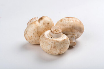 Champignon mushrooms isolated on white background