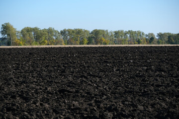 Rich black soil stretches across a vibrant landscape under a clear blue sky. Soil texture in...