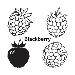 A black and white illustration of a blackberry_traced