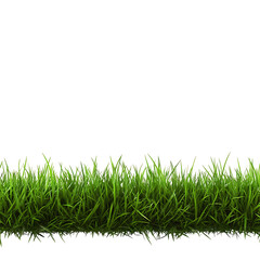 Fototapeta premium Seamless, Seamless Lush green grass texture, perfect for backgrounds and nature-themed designs.