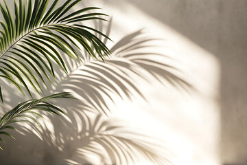 Obraz premium palm tree leaves