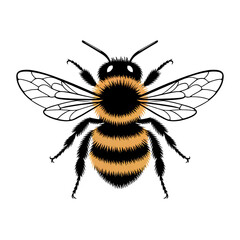 Fototapeta premium Buzzing Honeybee with Dynamic Motion Lines and Vibrant Energy in Flight Isolated on Transparent Background