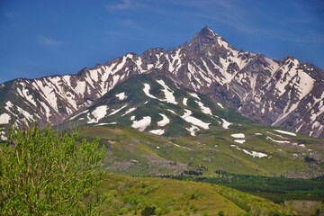 Fototapeta premium 利尻岳 新緑の季節