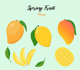 Mango pulp and leaves illustration