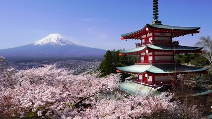 【山梨県・富士吉田市】春の新倉山浅間公園　富士山、五重塔、満開の桜　
Mt. Fuji and the five storied pagoda seen from Arakurayama Sengen Park where the cherry blossoms are in full bloom - Yamanashi, Japan
