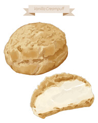  Dessert called creampuff or choux. Sweet pastry with vanilla cream custard. Watercolor style vector art of creampuff.