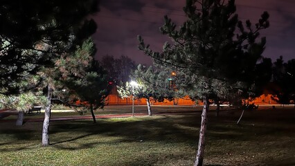 playground at night