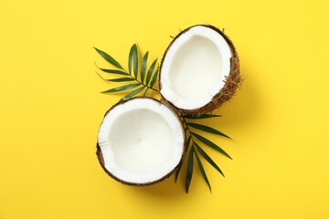 Coconut on color background, top view