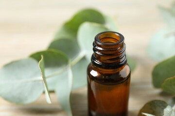Eucalyptus essential oil in a glass bottle with green eucalyptus leaves on a wooden background. Aromatherapy concept. Spa. Natural organic ingredients for cosmetics and body care.