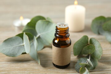 Eucalyptus essential oil in a glass bottle with green eucalyptus leaves on a wooden background. Aromatherapy concept. Spa. Natural organic ingredients for cosmetics and body care.