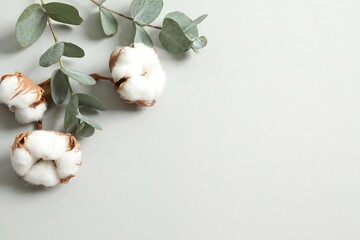 Eucalyptus twigs and cotton flower on gray background. Flat lay, top view, copy space. Floral background, flowers composition.