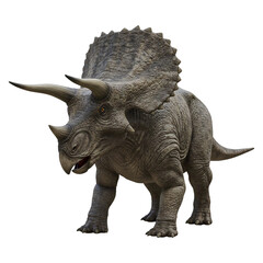Fototapeta premium Triceratops Dinosaur Render