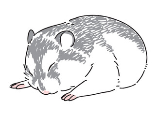 眠っているハムスターの手描きイラスト