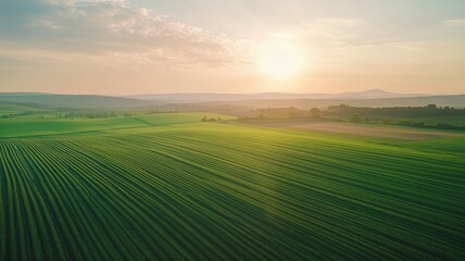 Obraz premium Sunrise over lush green fields rural landscape aerial photography serene environment nature's beauty concept