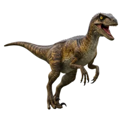  Raptor Dinosaur © yanto