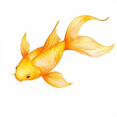 Fototapeta premium Golden fish swimming in watercolor style underwater scene artistic illustration serene environment close-up view, Chinese concept, isolated on white background