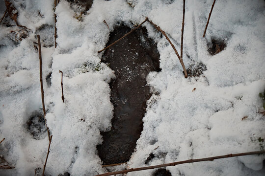 Human footprint in the snow