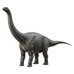Obraz premium Sauropod Dinosaur