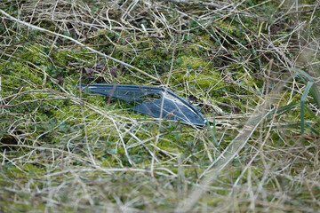 Litter in nature highlighting the impact of waste on the environment during a sunny afternoon