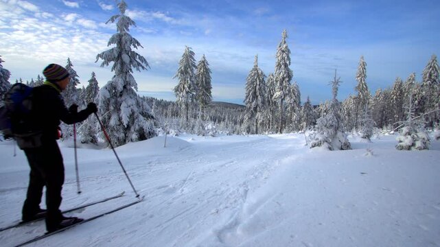 Couple cross country skiing on sunny day
