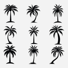 Fototapeta premium Palm Silhouttes, Coconut tree silhouettes Bundle and Set of palm tree silhouettes