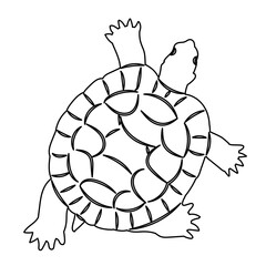 turtle top view sketch, outline vector
