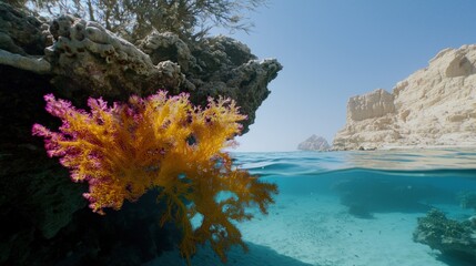 Naklejka premium Vibrant Coral Reef Underwater