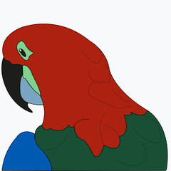 The profile of a parrot's head is drawn in close-up.