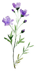 PNG Tiny floral watercolor flowers purple.