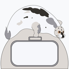 The seal lies on a lump of snow and holds a sign with its flipper on which words can be written.