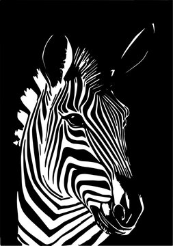 black and white sebra horse
