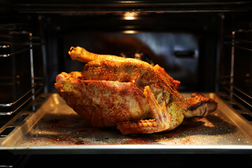 Festive christmas roast whole duck on aluminized steel baking sheet inside open oven at home kitchen. Ready golden turkey or goose on tray. Classic American Thanksgiving food preparation.