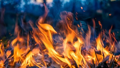 abstract fire flames concept; blurred background flame, burning, motion, vertical