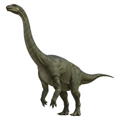 Obraz premium Sauropod Dinosaur