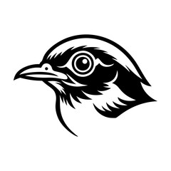 Obraz premium A solid style icon of american robin head