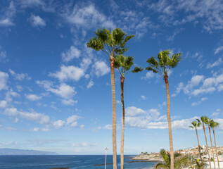 The coastline of Tenerife at Playa de Fañabe, Costa Adeje.