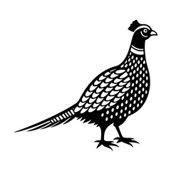 A solid icon of pheasant