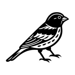 An icon of sparrow silhouette in solid style