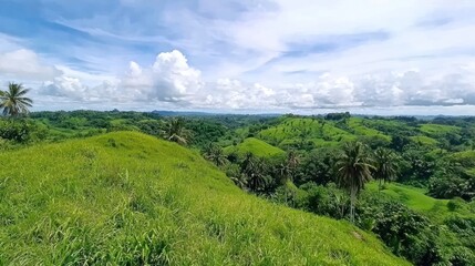 Fototapeta premium Serene Tropical Hillside Panorama