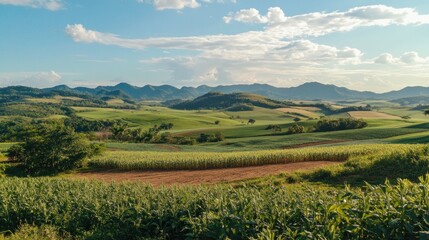 Obraz premium A Serene Landscape with Rolling Green Hills and Farm Fields Under a Cloudy Sky