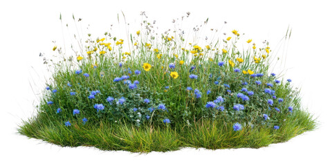 PNG Flowers grass background blooming.