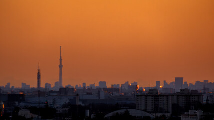 朝のスカイツリー