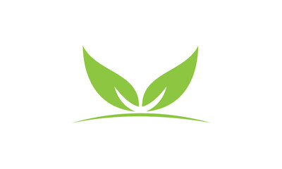 green leaf design