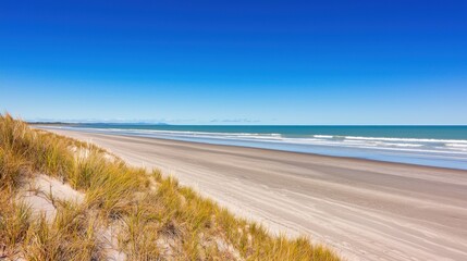 Peaceful Beachscape with Clear Blue Sky