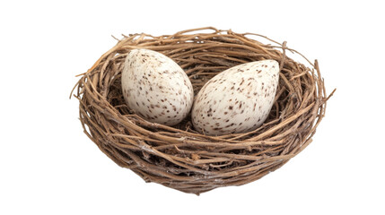nest with eggs isolated on white background.