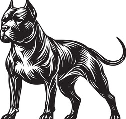 Pitbull dog vector illustration in black and white