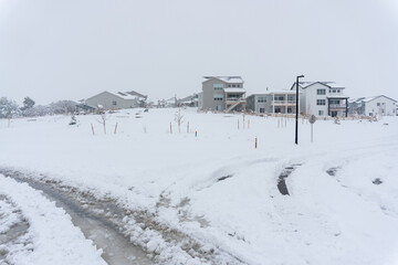 Winter Labor: Fresh Tire Tracks Through Snowy Street