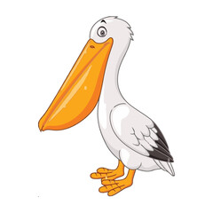 pelican bird vector illustration art work
